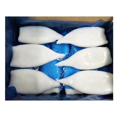 China Wholesale frozen cleaned seafood todarodes squid tube U8 U10 squid prices gluten free for sale