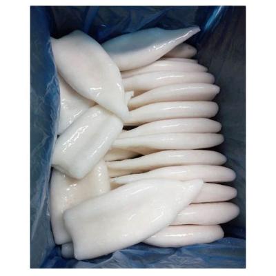 China Nutritious Frozen Cleaned U10 Squid Tubes Size China Tube Squid for sale