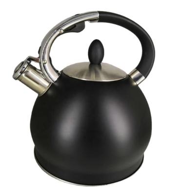 China Sustainable Wholesale Water Use Kettle Bollitore Gas Daily Kettle Stainless Whistling Tea Kettle Whistling for sale