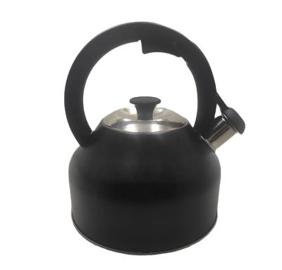 China Sustainable Wholesale Water Use Kettle Bollitore Gas Daily Kettle Stainless Whistling Tea Kettle Whistling for sale