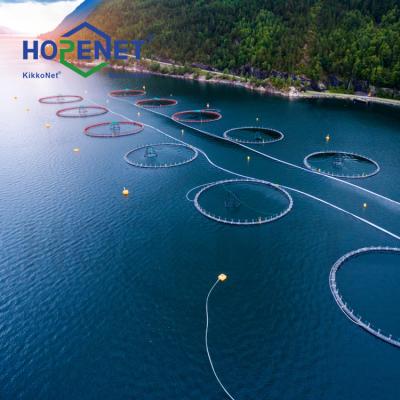 China HOPENET Fish Fishing Cage Casting Cast Nets Fishing Nets For Sale Fish Seine for sale