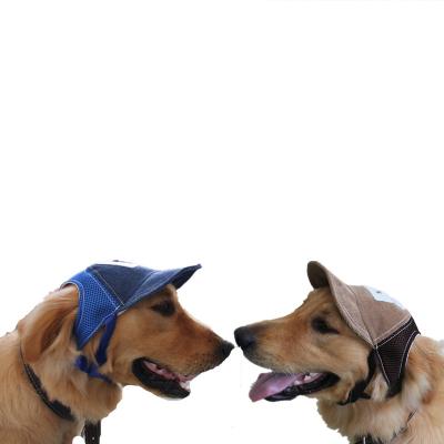 China Custom Square Dog Hats with different logo or pattern on it, embroidery, different style and also different fabric for sale