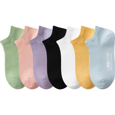 China Sporty New Product Work Bulk Bamboo For Adult Women Sport Customized Crew Socks for sale