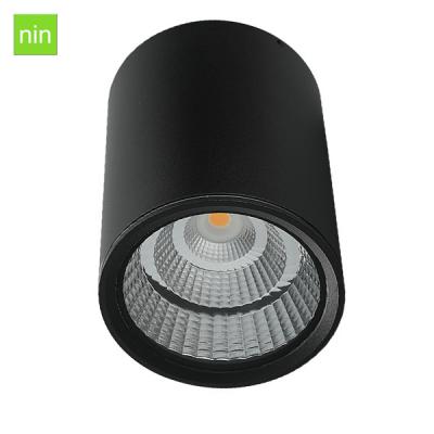 China IP65 Outdoor 12w 18w Outdoor Ceiling Led Round Corridor Light Customized 12w for sale