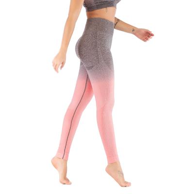 China Seamless Ombre Compression High Waist Gaiters Antibacterial Yoga Pants for sale