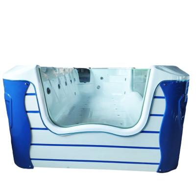 China Entertainment new style kids acrylic swimming pool with transparent BG-687 for sale