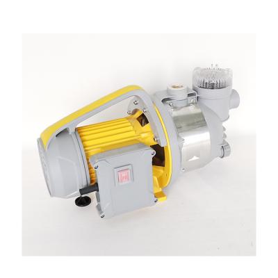 China 800w Garden Yard Pump Stainless Steel Head With Filter for sale