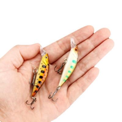 China Realistic Bionic Hard Plastic Bionic 3D Groundbait 6.1g 6cm Weight Realistic Fishing Sinker Hooks Jig Lures For Weever Inkfish Carp Tilapia Squid for sale