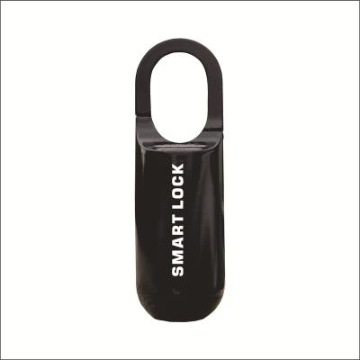 China Zinc Alloy Fingerprint Padlock Lock for sale