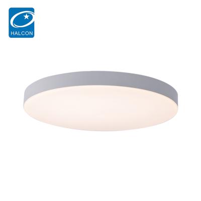 China Minimalist Round Design Office School 30w 45w 60w Outdoor Mounted LED Ceiling Light for sale