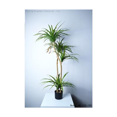 China Art Decor High Quality Artificial Tropical Plant Dracaena Sanderiena Tree Bonsai Greenn Trees For Indoor Outdoor for sale