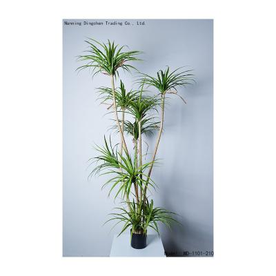 China Art Decor Plants Real Feel Artificial Luxury Dracaena Sanderiena Tree Tropical Plant For Outdoor Artificial Trees Landscaping for sale