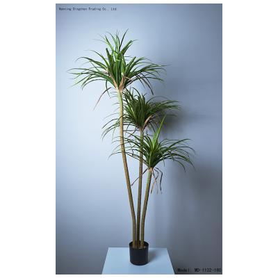 China Potted Look Artificial Dracaena Plants Art Decor Fake Plants Indoor Sanderiena Artificial Large Real Tree Artificial Plants for sale