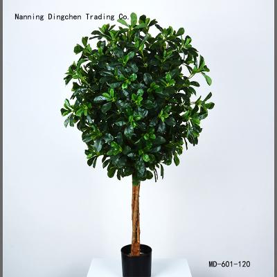 China Indoor Outdoor Decorative Artificial Plastic Tree Bonsai Plant Plants Greenery 120cm High Quality Environment Friendly From Polyscia for sale