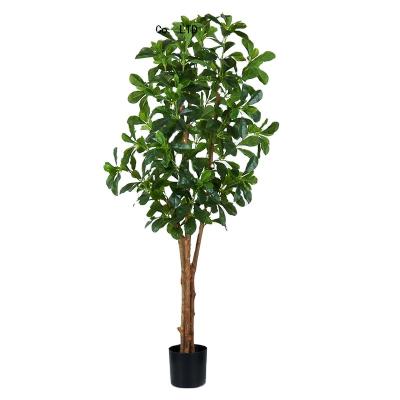 China Polyscia environment-friendly artificial green tree bonsai simulation plant Guangdong outdoor plant for decoration for sale