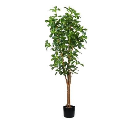 China New Decorative Artificial Plants Bonsai Plants Small Tree Potted Plants Polyscia Environment Friendly Artificial Tree For Halls for sale