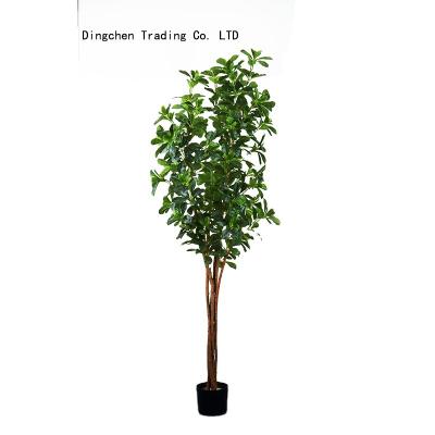 China Wholesale Environmental Friendly Artificial Tree 180cm Polyscia Indoor Decorative Artificial Tree Plant Artificial Plants For Office for sale