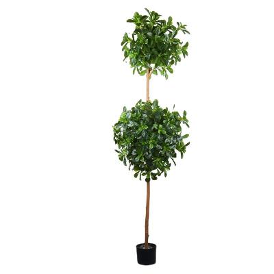 China Guangdong decorative artificial wooden ball plant tree pots Polyscia tree plant artificial outdoor potted environmental friendly artificial monstera for sale