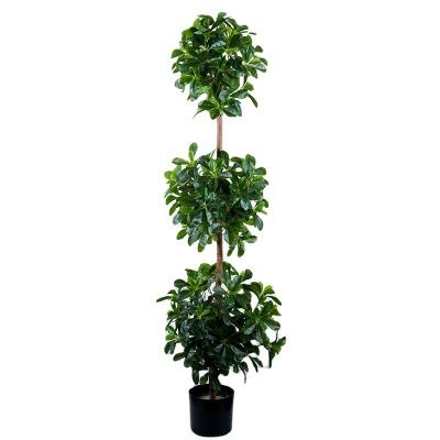 China Polyscia Environmentally Friendly Direct Tree Factory Bonsai Tree Plants and Artificial Almost Natural Outdoor Artificial Trees for sale