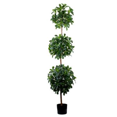 China Outdoor Large Bonsai Trees High Quality Environmentally Friendly Outdoor Artificial Evergreen Trees From Polyscia for sale