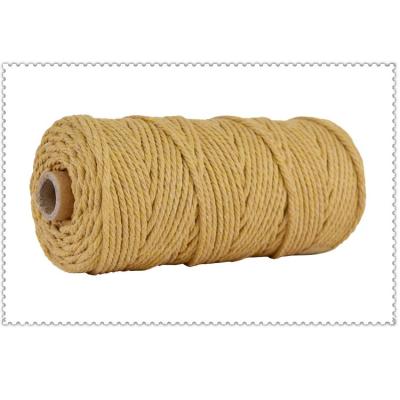 China Viable Handcrafts 3mm/100m Twisted Cotton Rope Colors Macrame Rope for sale