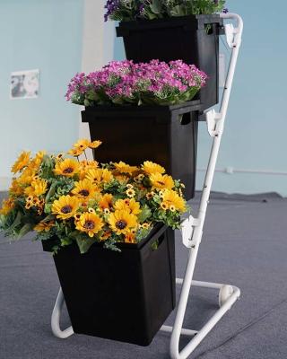 China Fixed Flower Display Rack 80KG Loading Capacity Powder Coating Finishing for sale