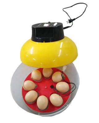 China Cultivate the ZH-8 mini incubator for sale/incubator home use the mini to hatch 8 chicken eggs for sale