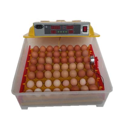 China Mini Farms Mini Chicken Egg Incubator For Sale /ZHENGHANG ZH-56 Incubator In Low Price for sale