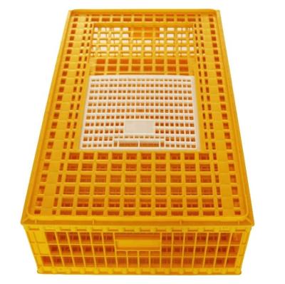 China Poultry new pp field material poultry transport crate / plastic chicken transport cage with high quality for sale