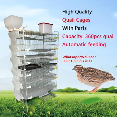 China Automatic bog feeding system quail equipment and 400 capacity quail cages / feeding system (lydia whatsapp: +8615965977837) for sale