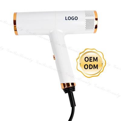 China Gubebeauty Ionic Hot On AMZ Hair Dryer And Ionic High Quality Custom Hair Straightener Hair Dryer Blow Dryer For DIY Hair Styling With FCC&CE for sale