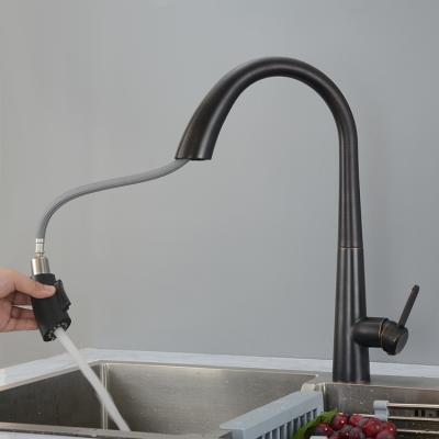 China Sense Faucets Pull Out Kitchen Faucet With Hidden Single Sprayer Handle GLOBE 304 Stainless Steel Kitchen Faucet for sale