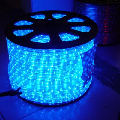 China LANDSCAPE Rainbow Light Color Rope String 220-240V Garden 3528 Low Power Consumption Led Rope Light for sale