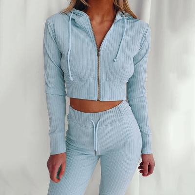 China 2021 Women QUICK DRY sky blue sets crop top hoodie two piece solid long sleeve plus size set women clothing for sale