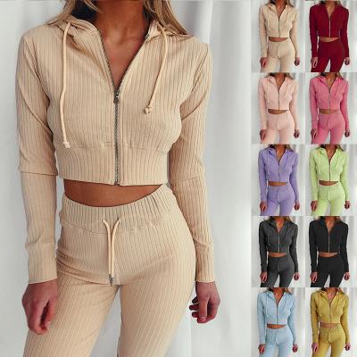 China 2021 QUICK DRY women sets crop top hoodie two piece solid long sleeve plus size set women clothing for sale