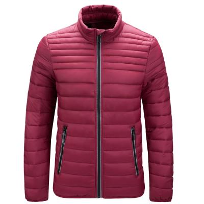 China Breathable Wholesale Custom Stand Collar Lightweight Plus Size Mens Down Jacket for sale