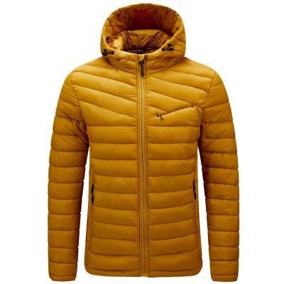 China 2021 Wholesale Custom Made Breathable New Plus Size Fashion Casual Men's Down Jacket for sale