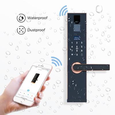 China Home Security Remote Control Slot Autotatic Indoor Smart Door Lock Chrome and Black with Key Door Locks for Wifi Wooden Aluminum Door for sale