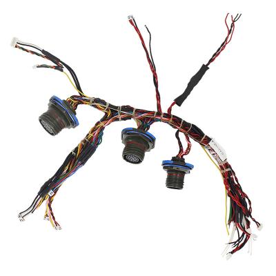 China Hot Selling Automobile Assembly Ls3 Custom Wires LS 6 Pin 2 Power Supply Automotive Wiring Male Female Connectors for sale