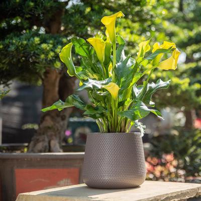 China 8 10 12 14 16 18 20 Inch Large Plants Planter Pot Manufacturers China Flower Pots Eco - Friendly for sale