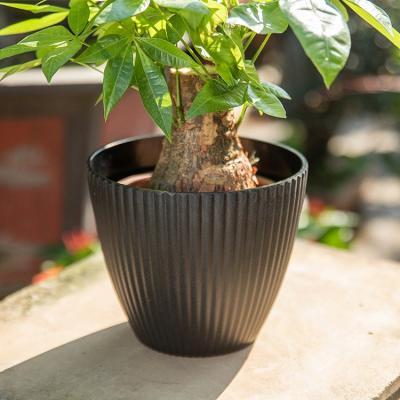 China Eco-friendly Cheap Wholesale Nursery Pots Growing Tree Flower Pot Eco-friendly PP Material for sale