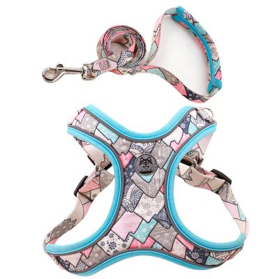 China Private Label Small Strap Custom Luxury Padded Tweed Dog Sport Strong Harness and Leash for sale