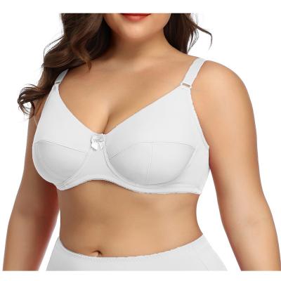 China Breathable Ladies Underwear Under Garments Stylish Soft Padded Plus Size Push Up Seamless Bra for sale