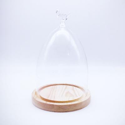 China Plant Decoration Vase Customized Mini Greenhouse Plant Glass Jar for sale