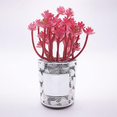 China Creative hydroponic vase plant flower arrangement living room vase home decoration lead-free glass vase for sale