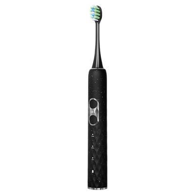 China Higher Frequency Shaking BANNER Private Label Hot Electric USB Rechargeable Toothbrush Electric Set for sale