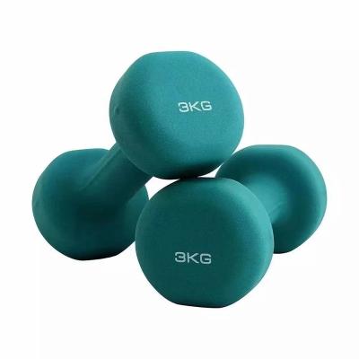 China Plastic Dip In Dumbbell New Design Eco-friendly Exercise And Small Colorful Fitness Vinyl Dumbbell Set for sale