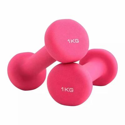 China Plastic Dip In The Dumbbell Pink Logo Durable Weightlfiting Pvc Customized Dumbbell And Cast Iron 3lb/5lb/8lb Small for sale