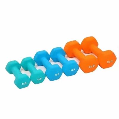 China Plastic Dip Dumbbell Gym Custom Vinyl Dumbbell Set Fixed Yoga Matte Small Colorful Strength Dumbbell for sale