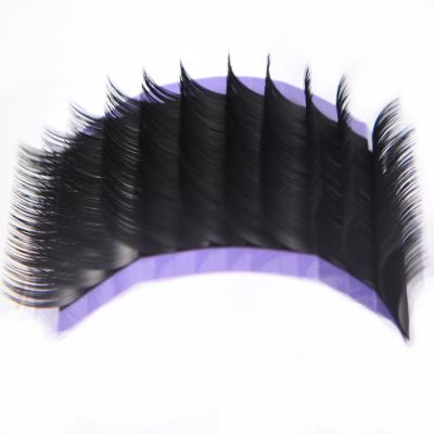 China Quenlashes Natural Soft 3d Mink Eyelash Volume Extension Wholesale High Quality Siberian Supplies for sale